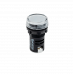 MT22-S31